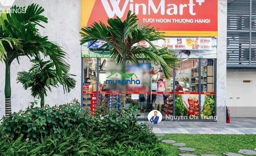 Cho thuê căn hộ c sky view chánh nghĩa 2pn2wc 80m2 10tr/tháng, tầng cao thoáng mát