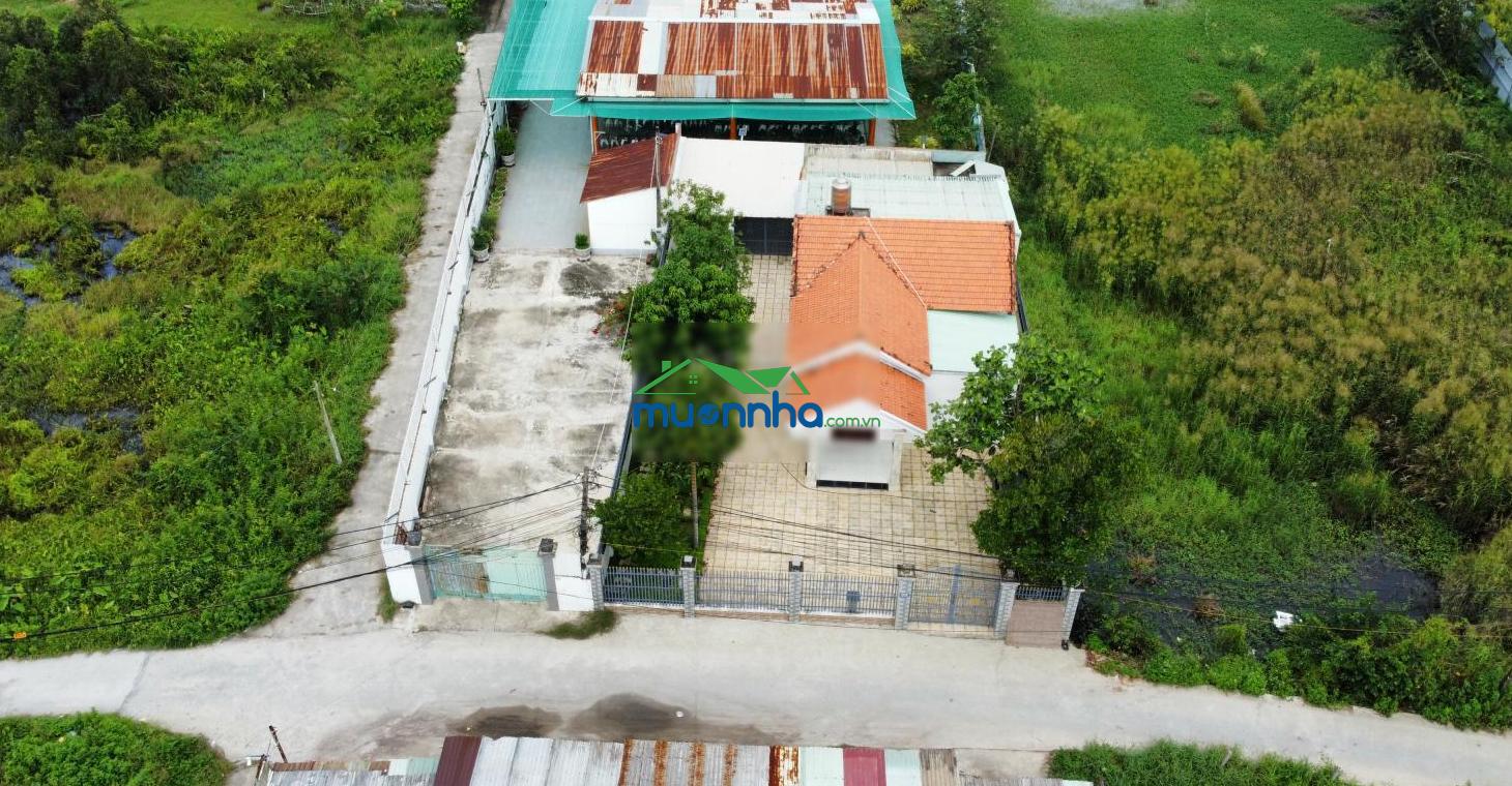 Nhà vườn 16x30m mặt tiền đường 363 - bình mỹ - củ chi - 1 sẹc hà duy phiên - 4