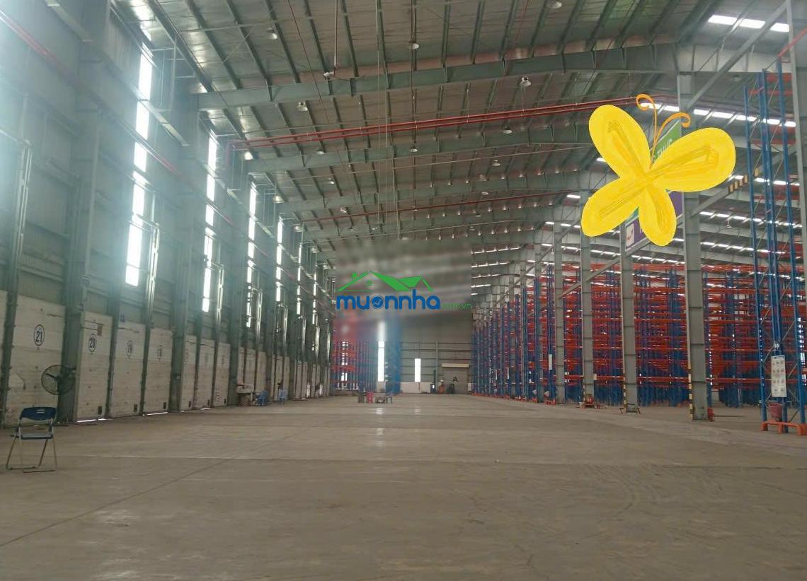 Cho thuê kho xưởng đẹp đa diện tích theo nhu cầu khách hàng, 23000m2, kcn vsip 1, kcn sóng thần 2
