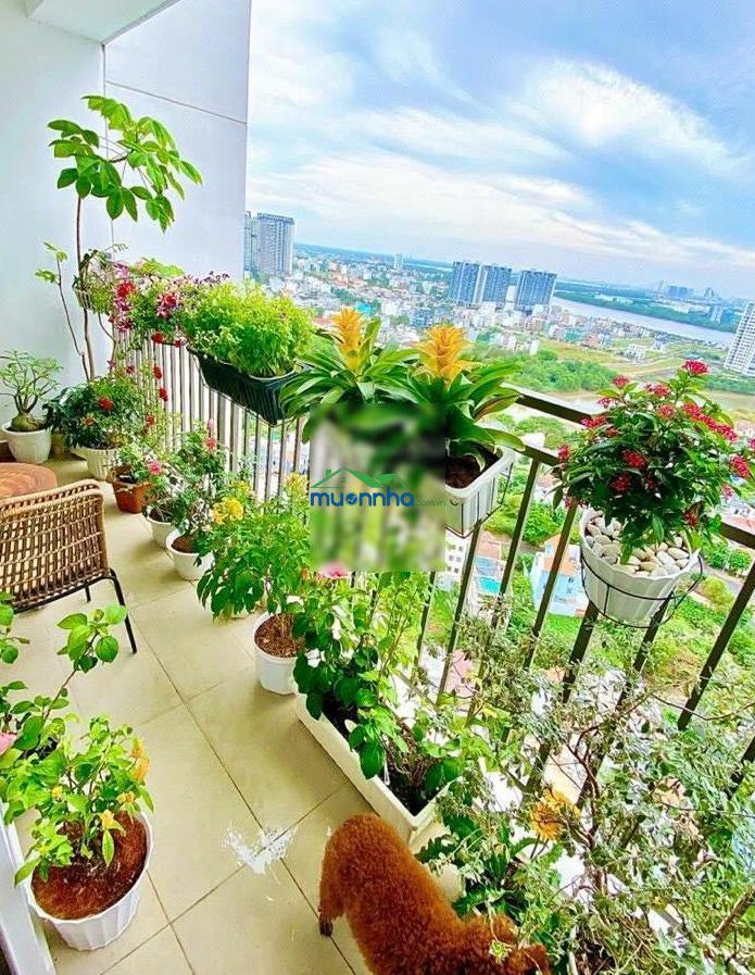 Giỏ hàng bán các căn studio - 1pn - 2pn - 3pn the sun avenue giá tốt
