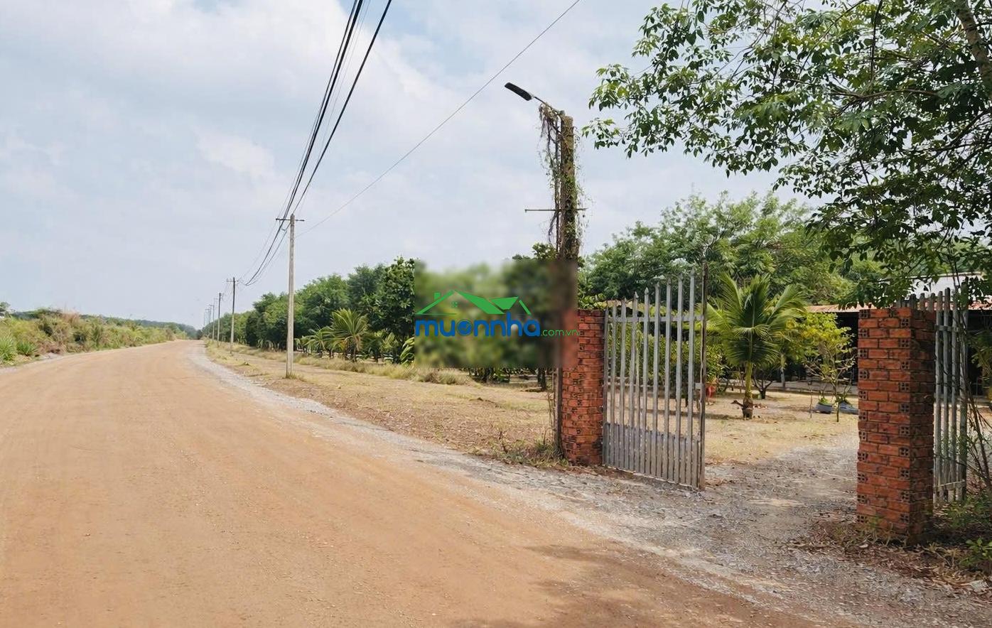 Bán đất sổ riêng tại dầu tiếng 339 triệu sang tên ngay - 2
