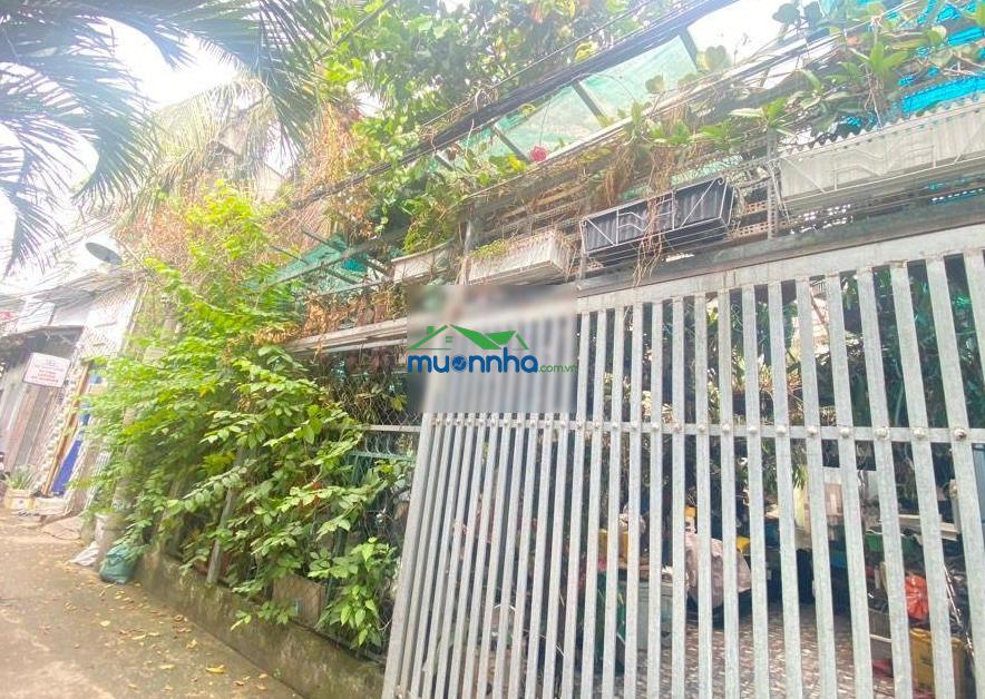 Nhà xây biệt thự vườn trung tâm quận 7, 142,3m2 chỉ 51tr/m2 ngang 11,5m, thực tế 14m giá nhỉnh 7 tỷ