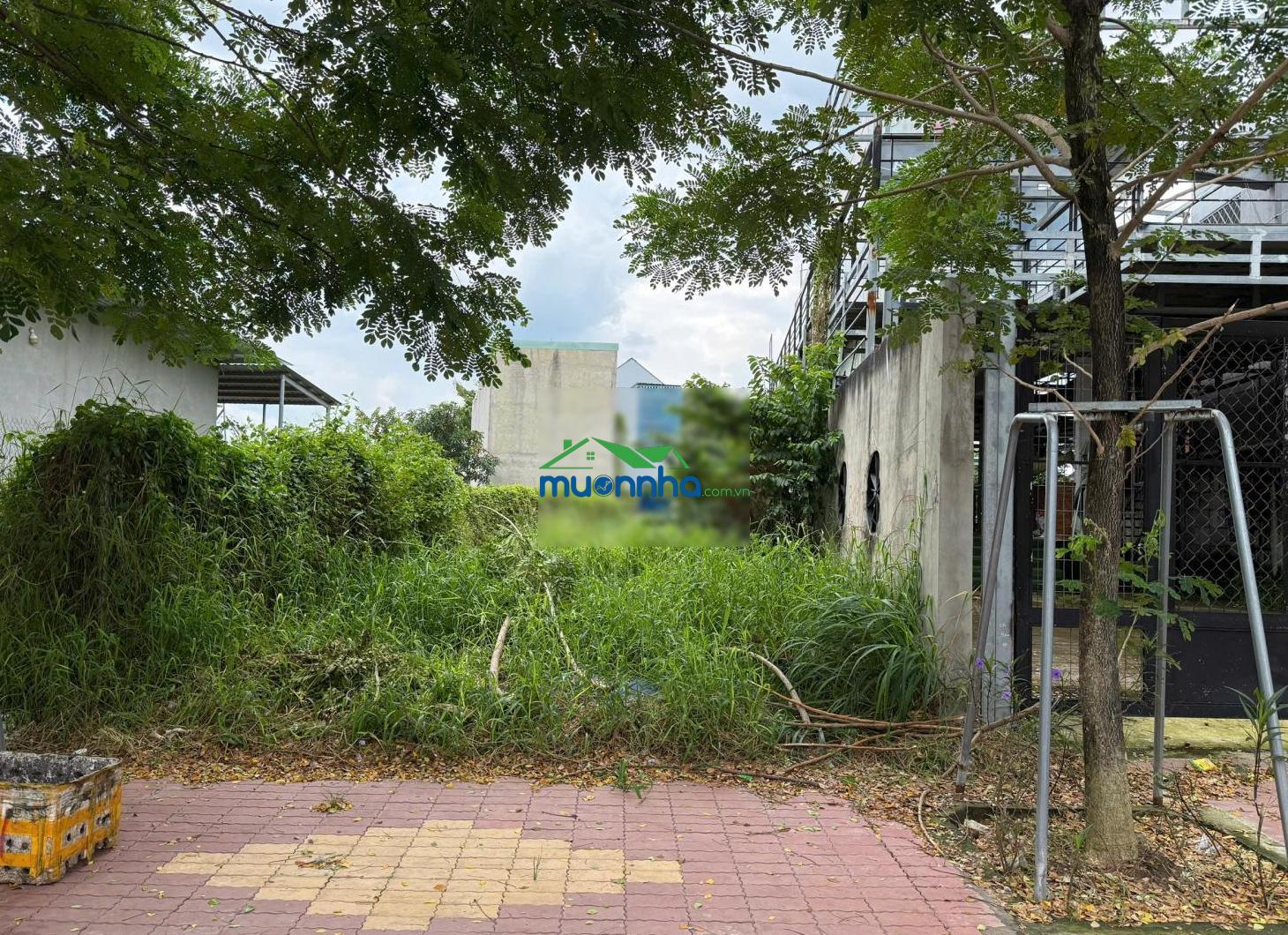 Bán đất nền mặt tiền đường bùi ngọc thu, phú an, tp. hcm (khu vực thủ dầu một cũ) - 3