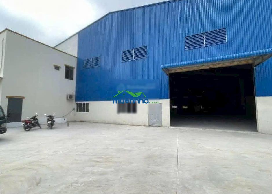 Cho thuê kho xưởng 10.000m2 dĩ an (có cho thuê lẻ) - 2