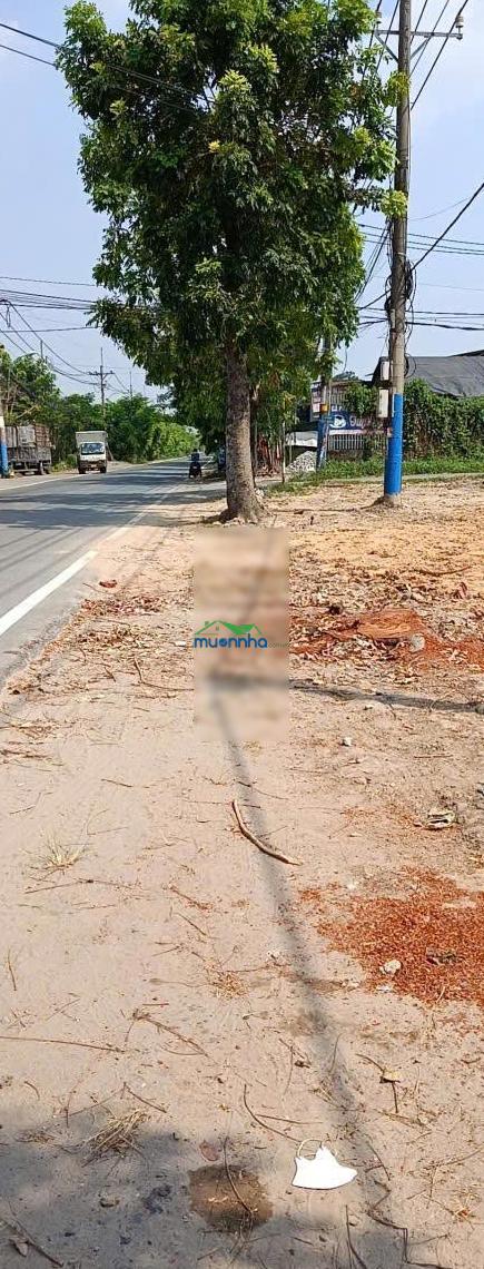 Đất mt tỉnh lộ 2 củ chi, sổ riêng, dt 95m², xây tự do - 4