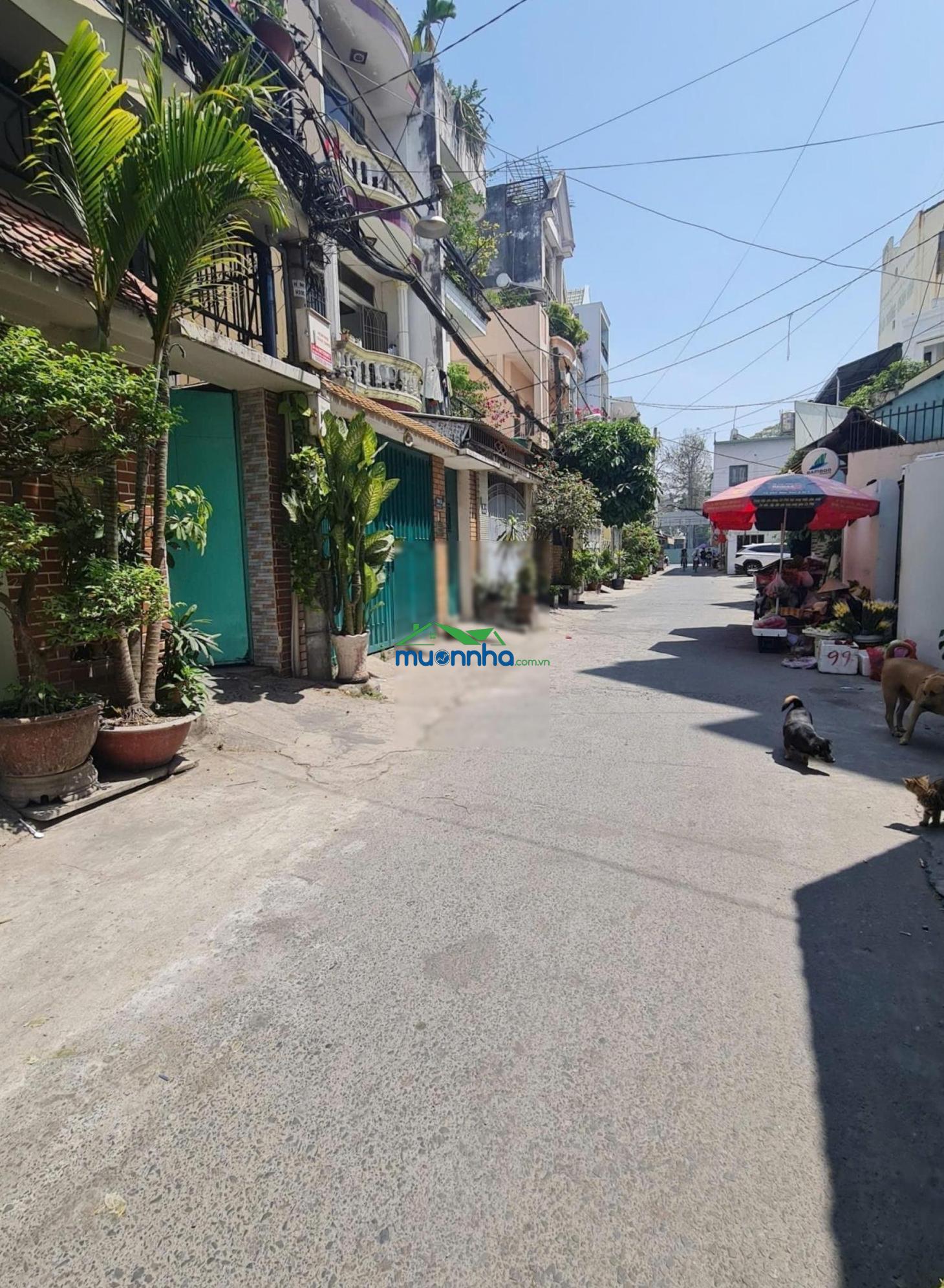 Hẻm xe tải nguyễn kiệm, p3, dt: 6*15m, nhà c4, giá: 9.5 tỷ, lh: 0934 870 *** - 3