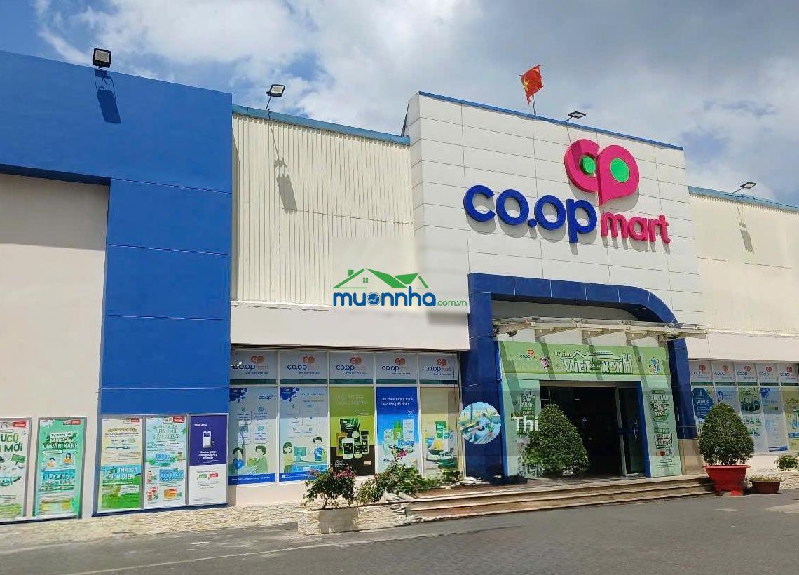 Căn trọ 5 phòng thu nhập 7 triệu/tháng, giá 1,4 tỷ gần kcn tây bắc, củ chi, sổ hồng riêng chính chủ - 3