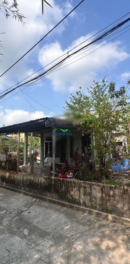 Nhà đất lớn hiếm rẻ 9x20m vuông vức nguyễn văn bứa - ngay ngã 4 ql 22. khu vực đang phát triển mạnh - 4