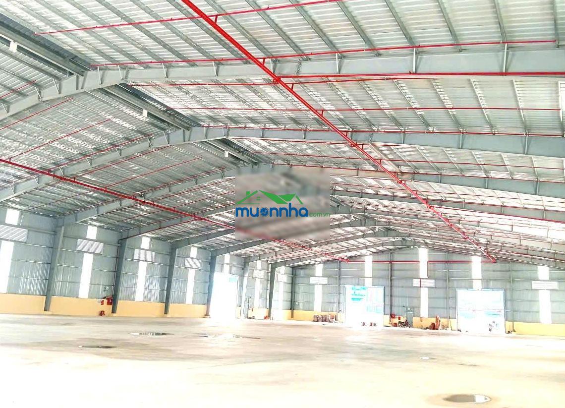 Xưởng cho thuê 31000m2 lẻ từ 2000m2, sát kcn vsip 2, sóng thần 3, nam tân uyên, kcn bình dương