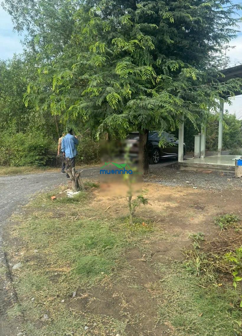 Bán nhà 650m2 thổ cư 300m2 xã hưng long giá 4.5tỷ