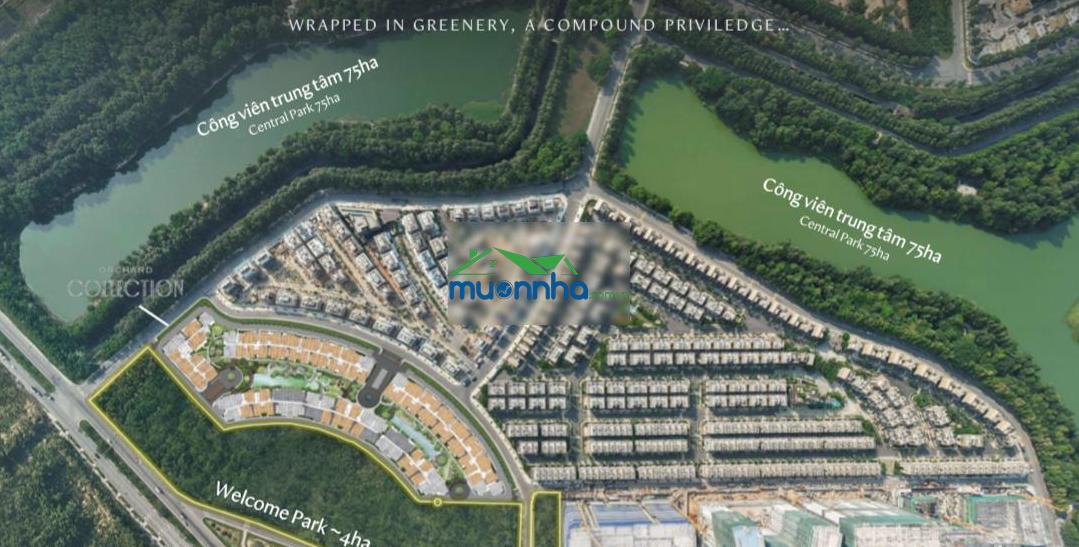 Bán căn hộ đẹp 4pn, 4wc, 204m2 tại orchard hill - sycamore, 9,8 tỷ