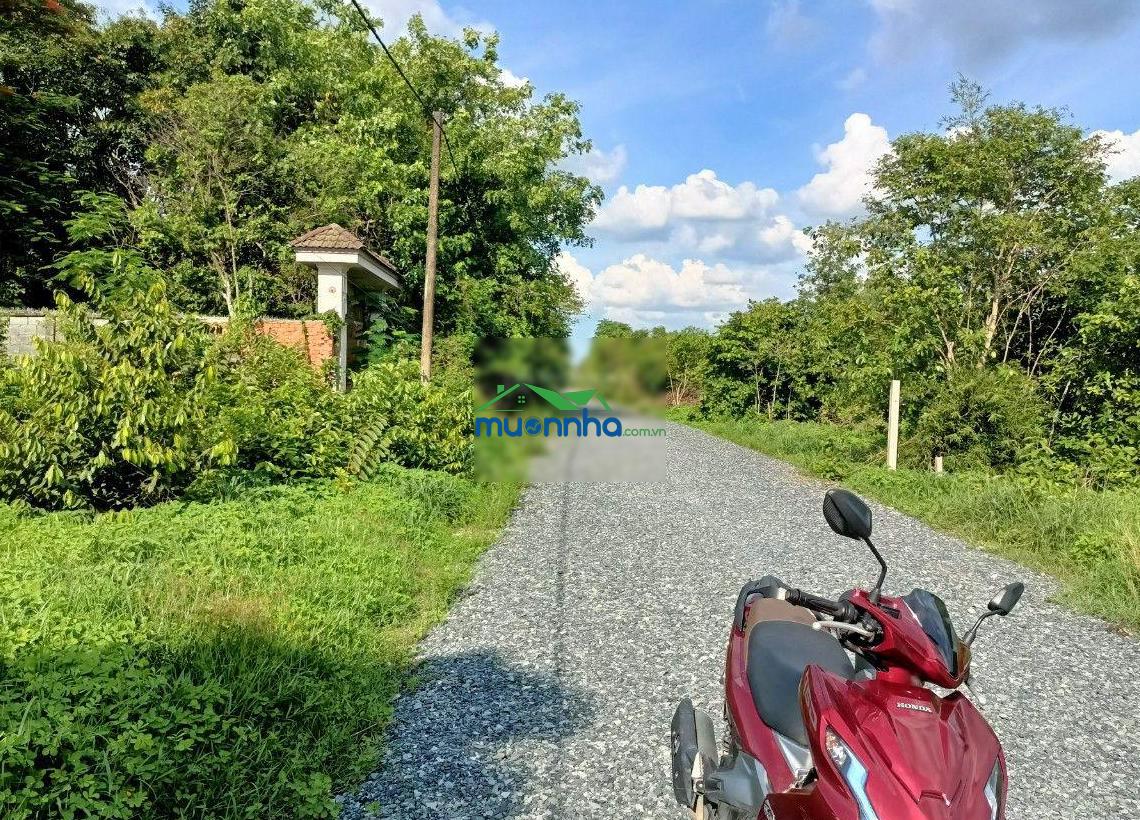 Đất củ chi ngang 11,6m khu dân cư hiện hữu, chính chủ - 3
