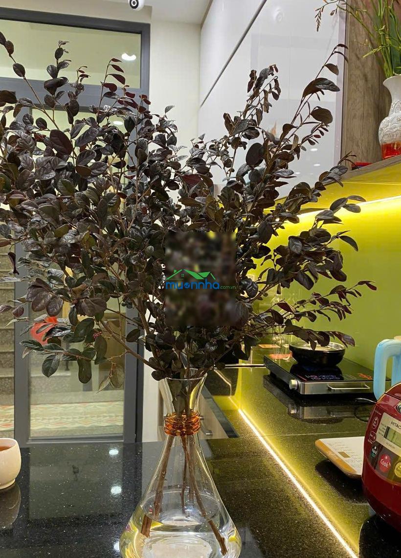 Chủ đăng bán! nhà mới 4 tầng, gần sông saigon, công viên trước nhà, đường nhựa 10m giá 14 tỷ 900 - 3