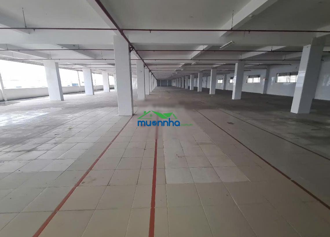 Nhà xưởng thuận an bd. dt: 1700m pccc.t.động thẩm duyệt 120tr