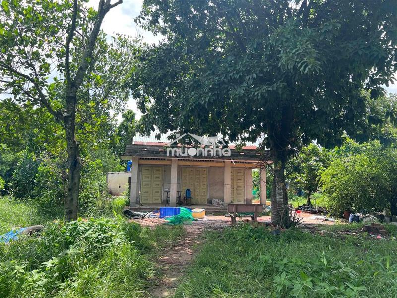 Cho thuê nhà đất rẻ nhất khu vực