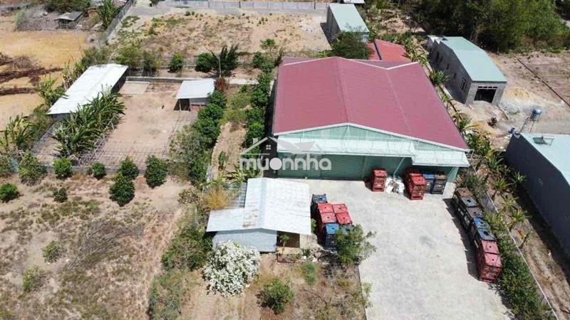 Bán nhà xưởng 4000m2 tại châu pha hcm