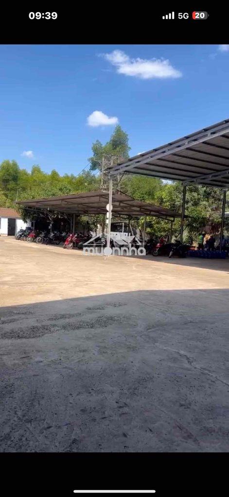 Cần sang nhượng lại 12500m2, có sẵn xưởng gỗ,giá 65 tỷ, đường xe công
