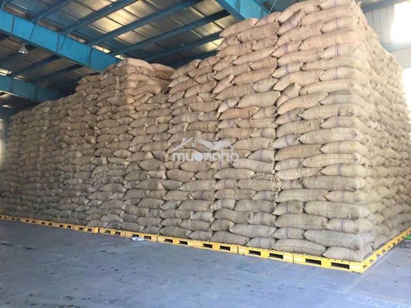 Cho thuê kho xưởng trong kcn nam tân uyên 4000m2