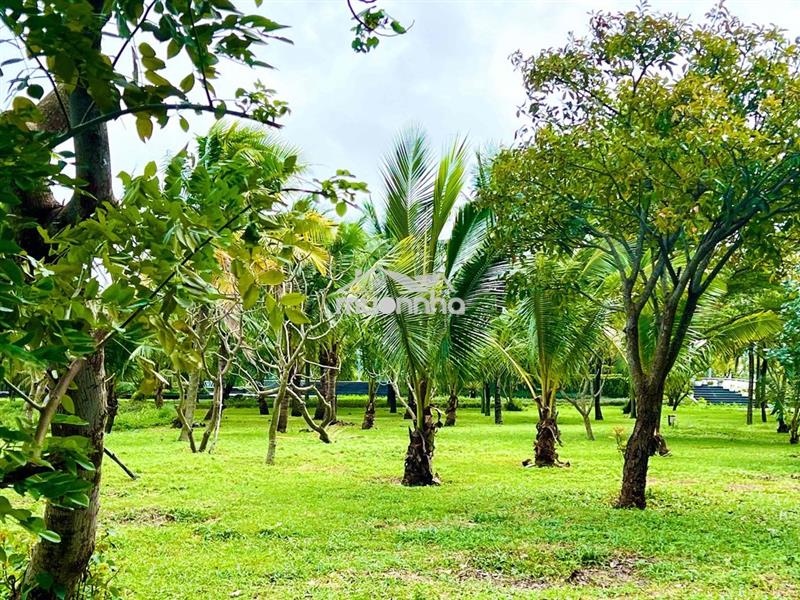 Rất hiếm: bán 152m2 đất v3 fpt view công viên ngang 8m - bđs rồng đỏ c