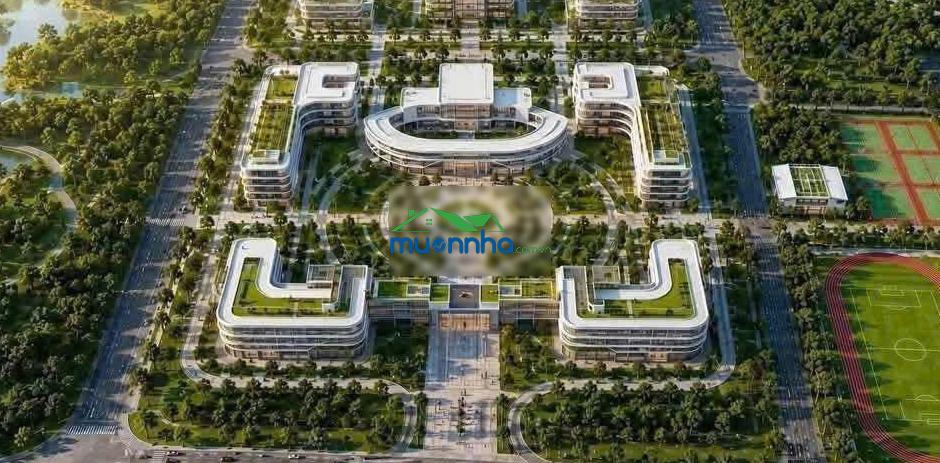 Dành cho anh chị có 1,53 tỷ nhàn rỗi: nhà phố vinhomes từ 4,8 tỷ, vốn ban đầu chỉ 1,44 tỷ - 3
