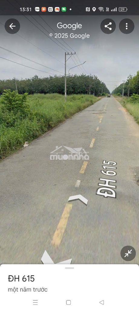Chính chủ bán đất mặt tiền đường dh 615 - 2