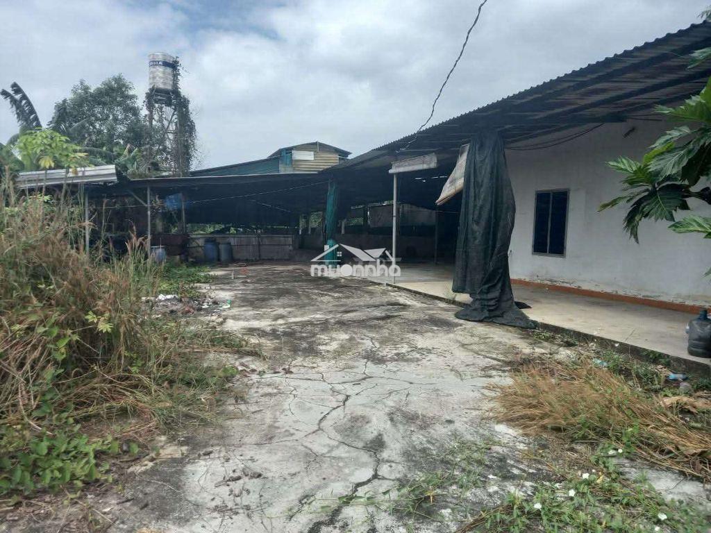 Cho thuê trang trại nhà xưởng - 2