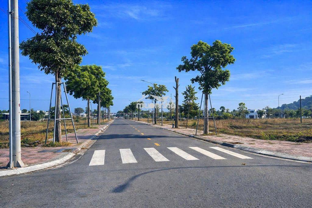Hot 99 nền đất cực đẹp vừa có sổ ngay biên hòa chỉ 300 triệu sở hữu - 4