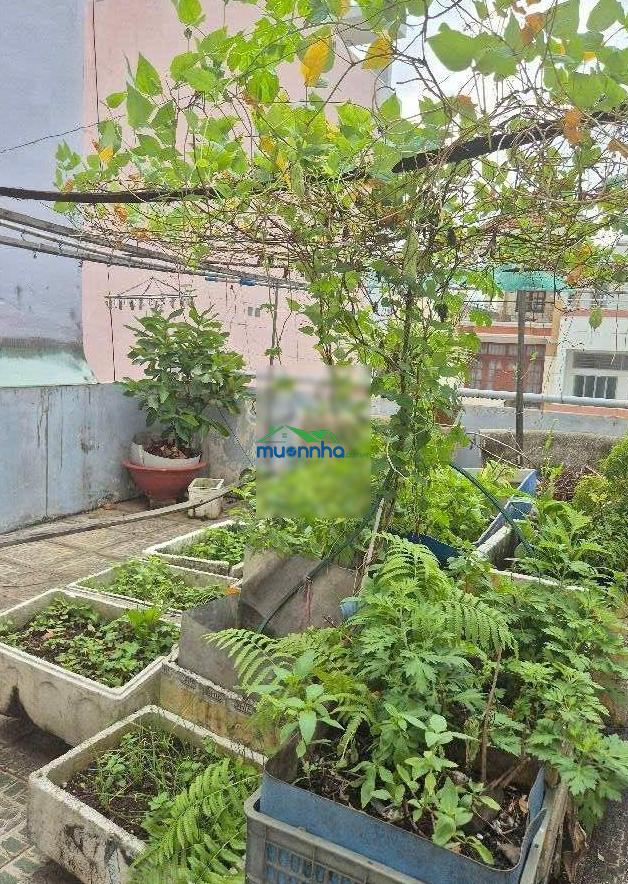 Hxh thông tranh bình thới - q11 - 67m² - nở hậu 5,6m - 4 tầng - 6pn - hơn 9 tỏi tl