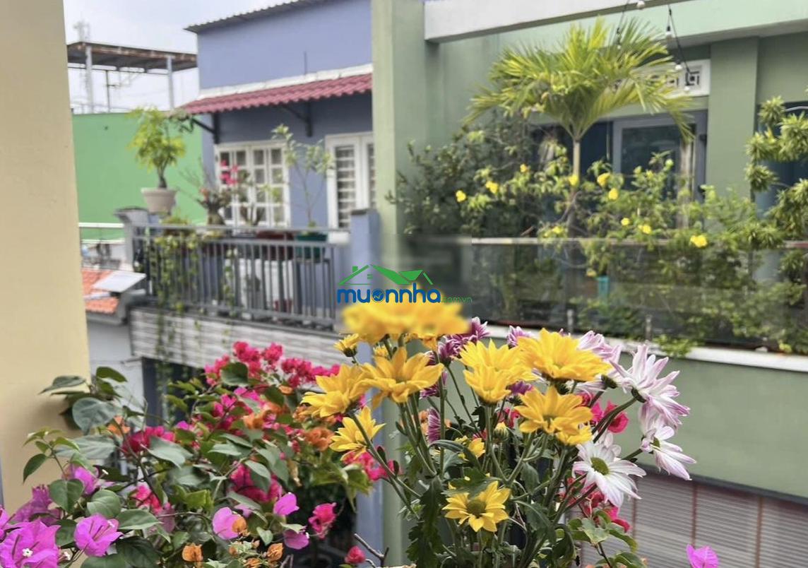 Bán nhà riêng ở gò dầu, 6,3 tỷ, 42 m2, 4pn, 3wc, 3 tầng, pháp lý đầy đủ - 3