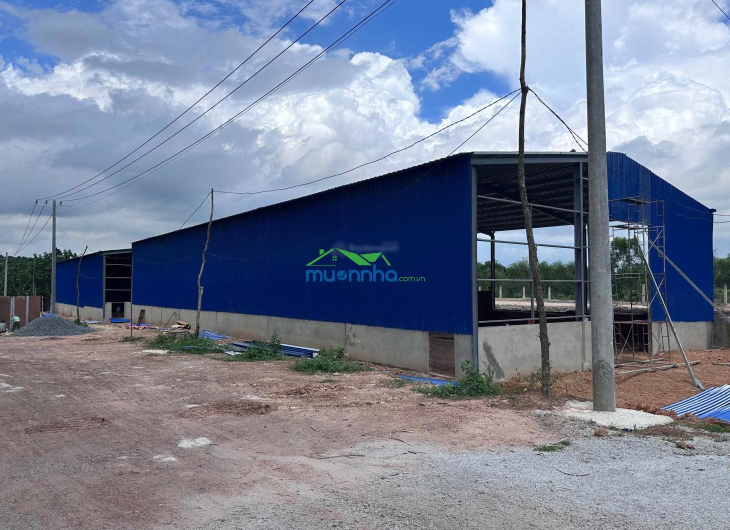 Cho thuê kho, nhà xưởng, đất tại đất cuốc 09, 114 triệu, 1,412 m2, hàng hiếm uy tín