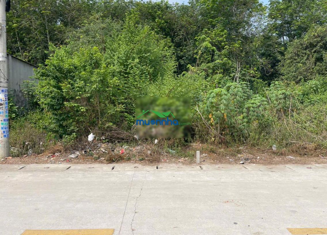 Chính chủ gửi bán đất 179m² full thổ cư - tân định 08, bắc tân uyên - 2