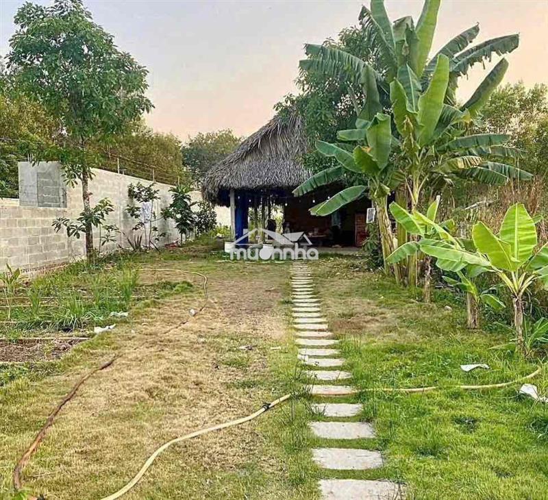 Đất ngộp