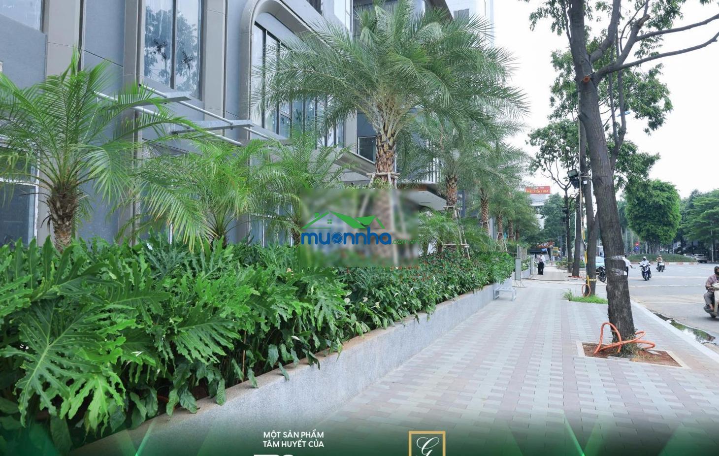 Căn hộ cao cấp green square cạnh go dĩ an, làng đhqg tphcm - 4