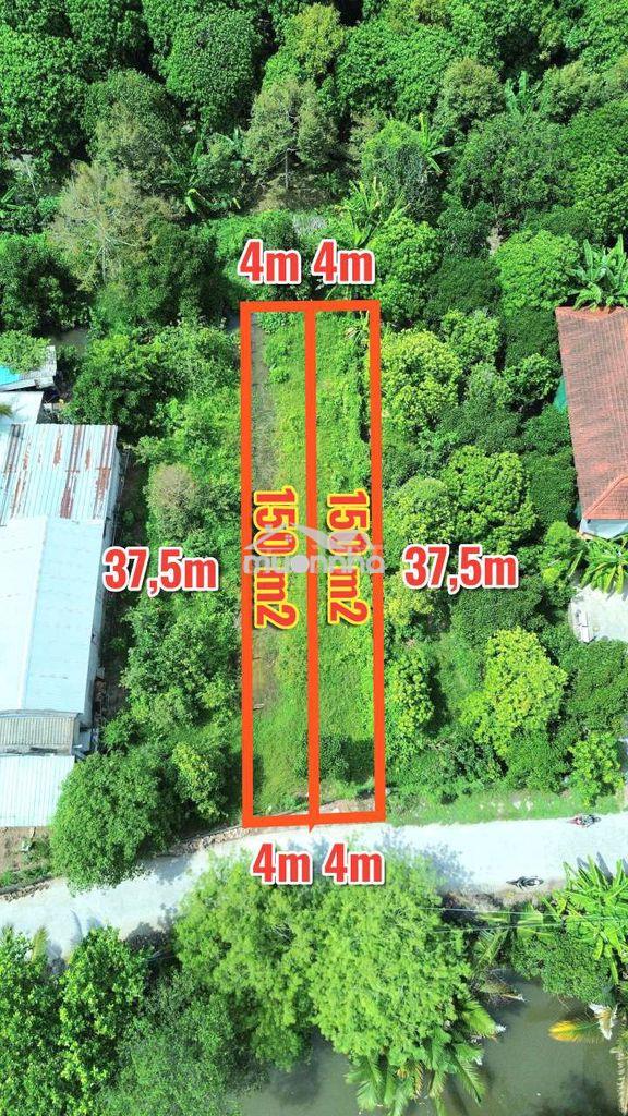 Nền giá rẻ gần chợ bông vang