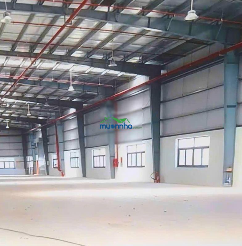 Nhà xưởng tổng 19.580m², cắt lẻ cho thuê từ 2000m² - 1ha, gần sát kcn sóng thần 2. vsip 1 - 2