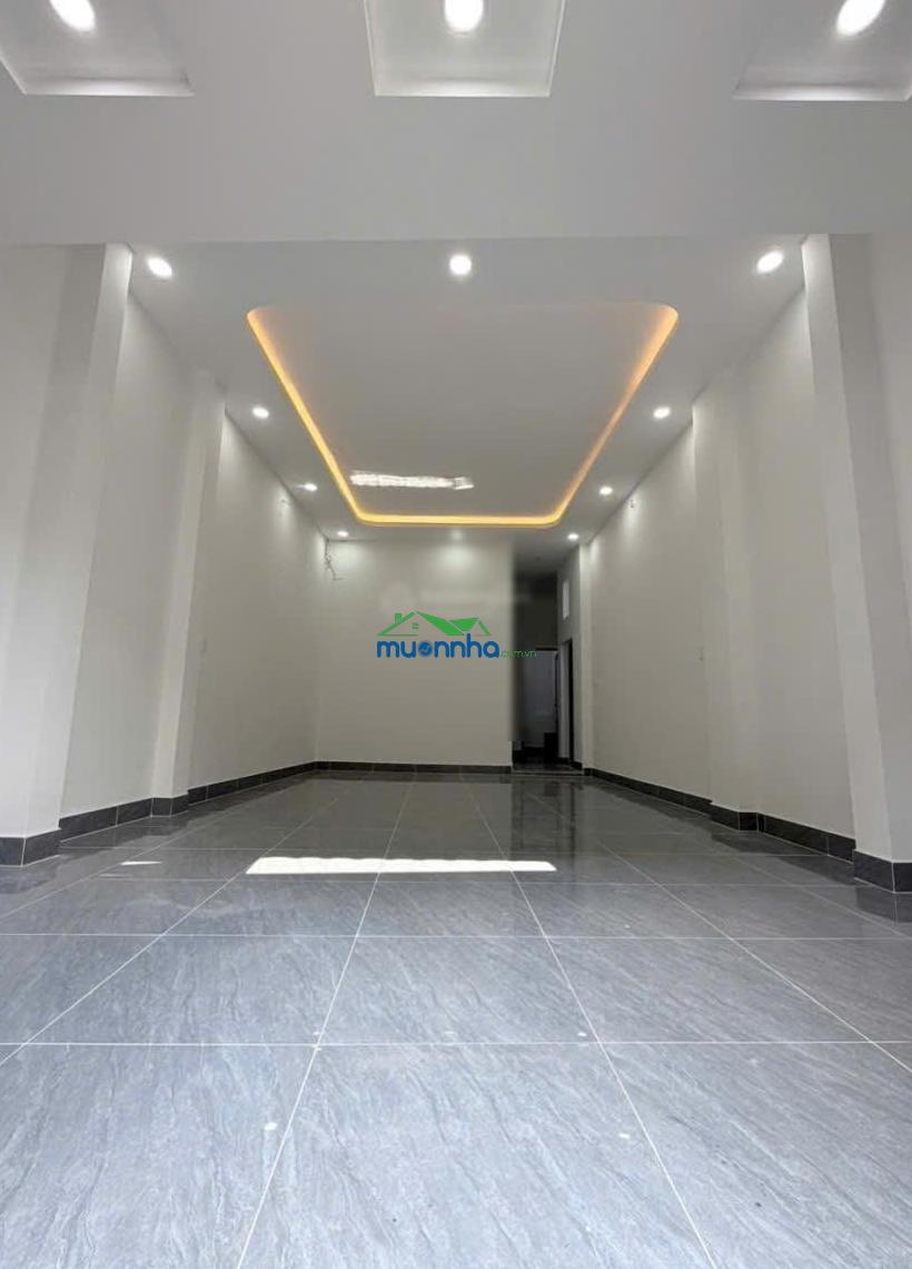Bán chdv ngay celadon tân phú thu nhập 60 triệu/tháng giá mềm - 3