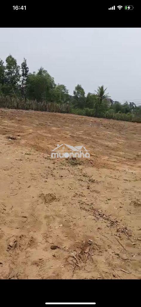 Lô góc đất ở 1477m2 đường long thuận, p. long phước, q9, giá 20.7 tỷ - 4