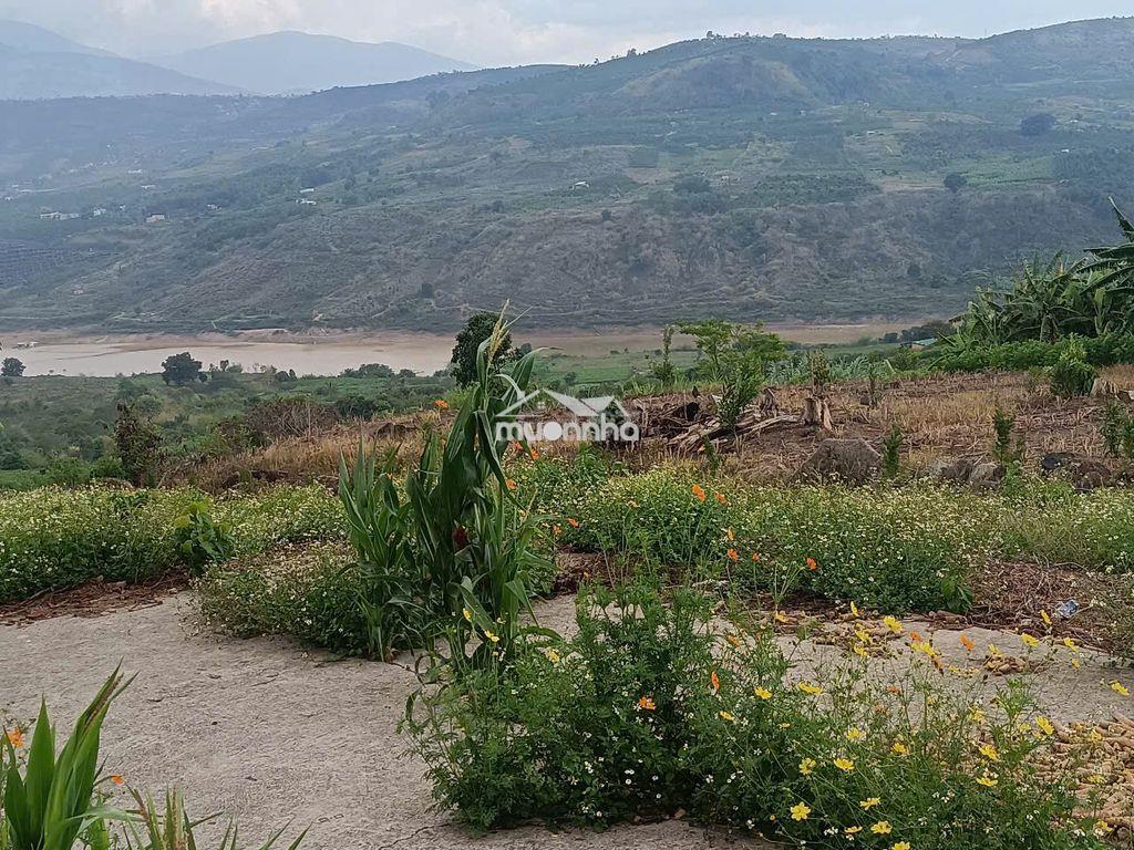 Cần tiền bán gấp lô đất 2 mặt tiền view sông - 3