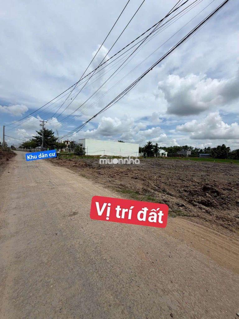 5×32 thổ nhựa 11m vew kênh tân bửu_ bến lức 2 tỷ ( rẻ đẹp nhất khu vực