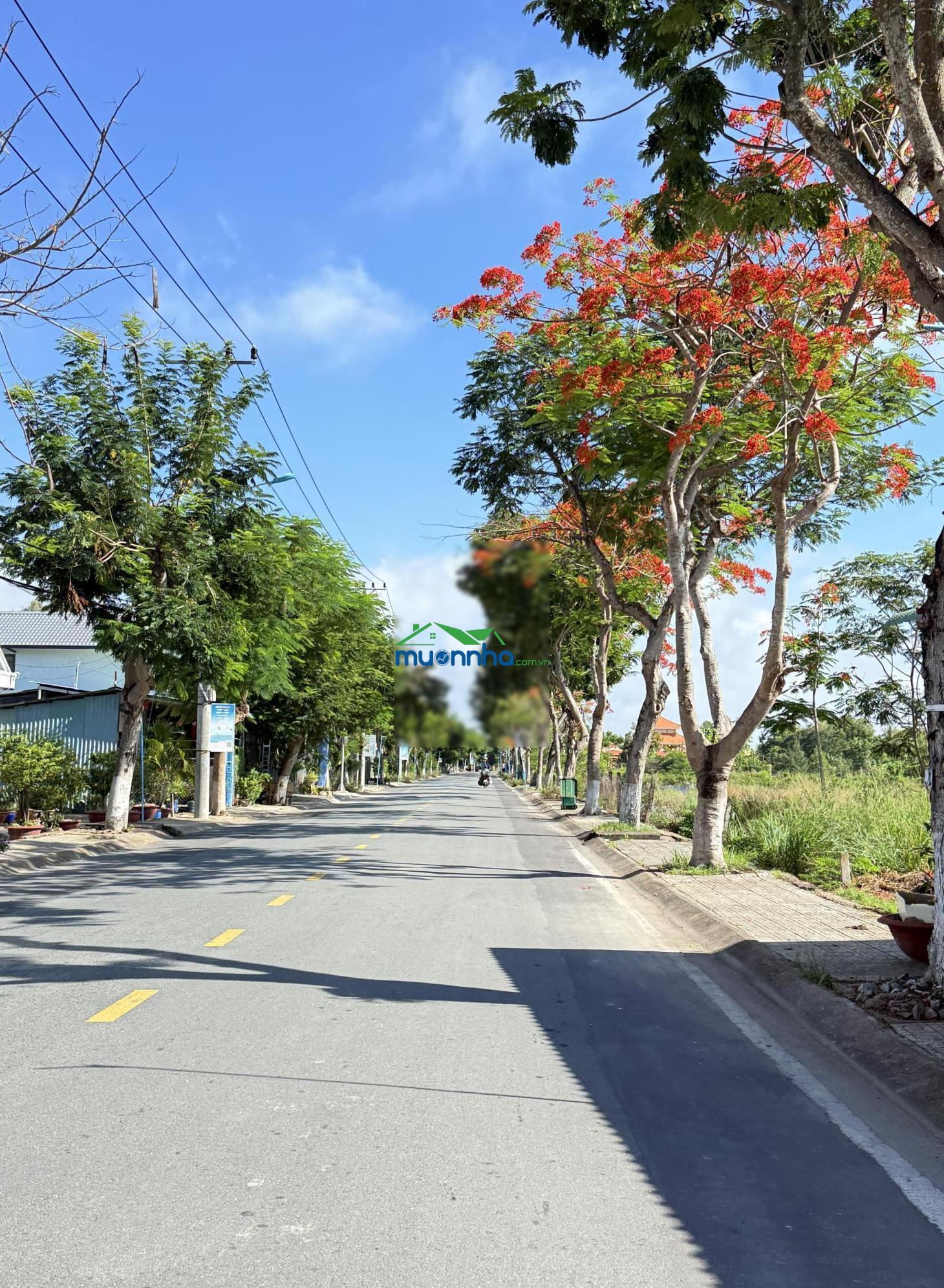Nhà riêng tại giồng ao, cần thạnh, huyện cần giờ, 2,3 tỷ, 60m2, giá tốt, uy tín