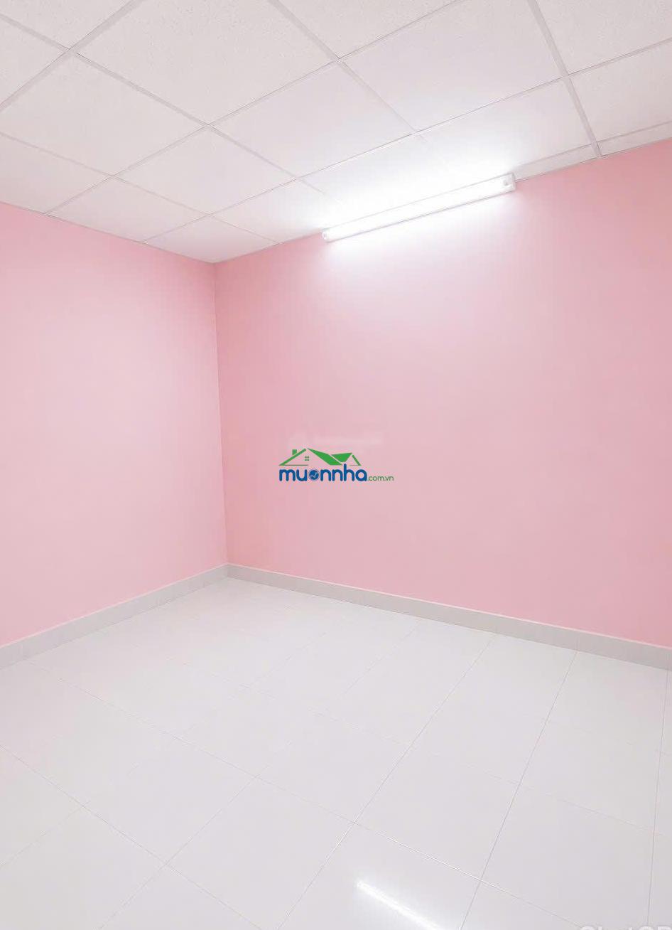 Bán nhà hẻm xe hơi bùi thế mỹ - tân bình - 2
