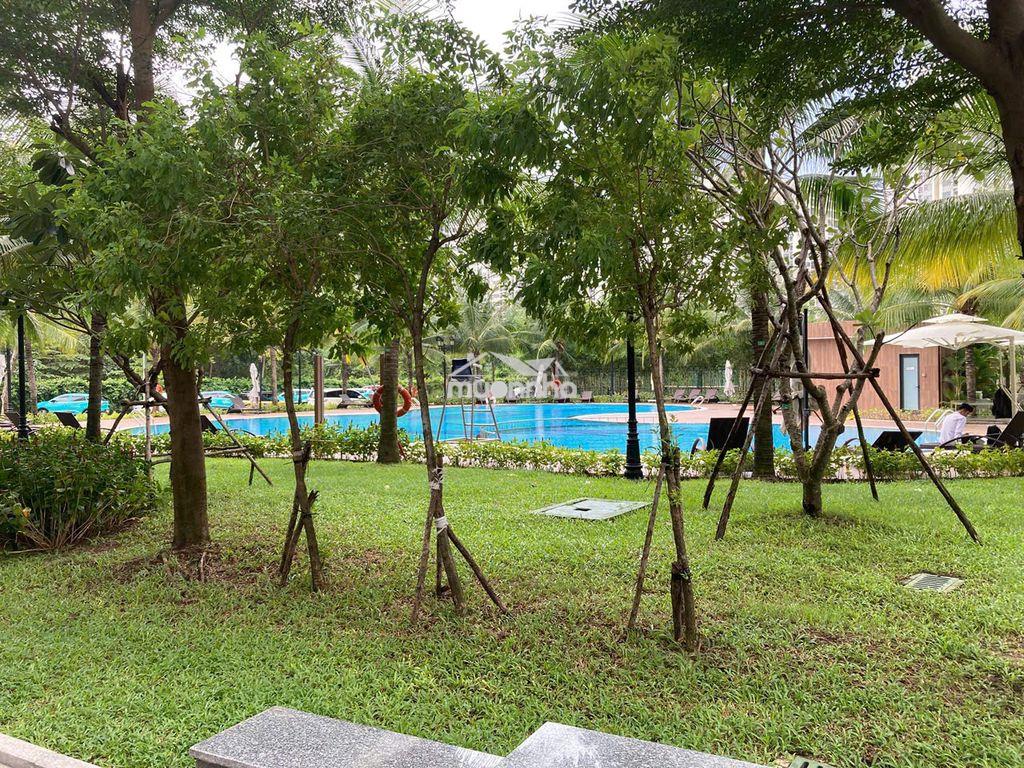 Cho thue că hộ vinhomes grand park - 2