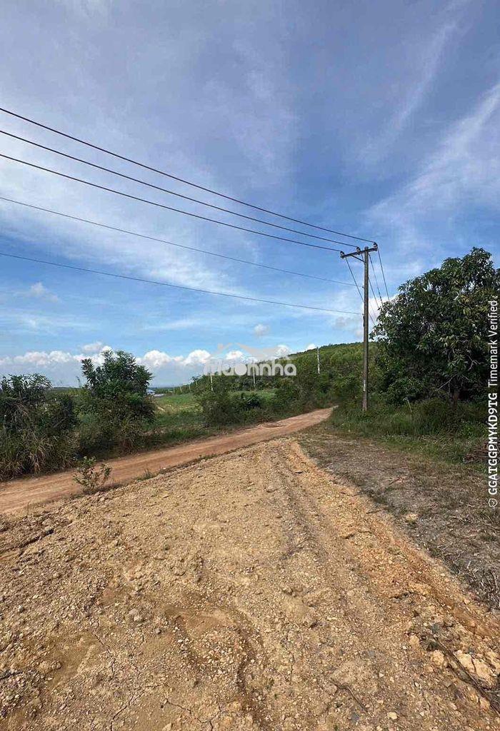 Bán đất 1653m2, 2 mặt tiền, cách ql20 1km, đường 24m - 4