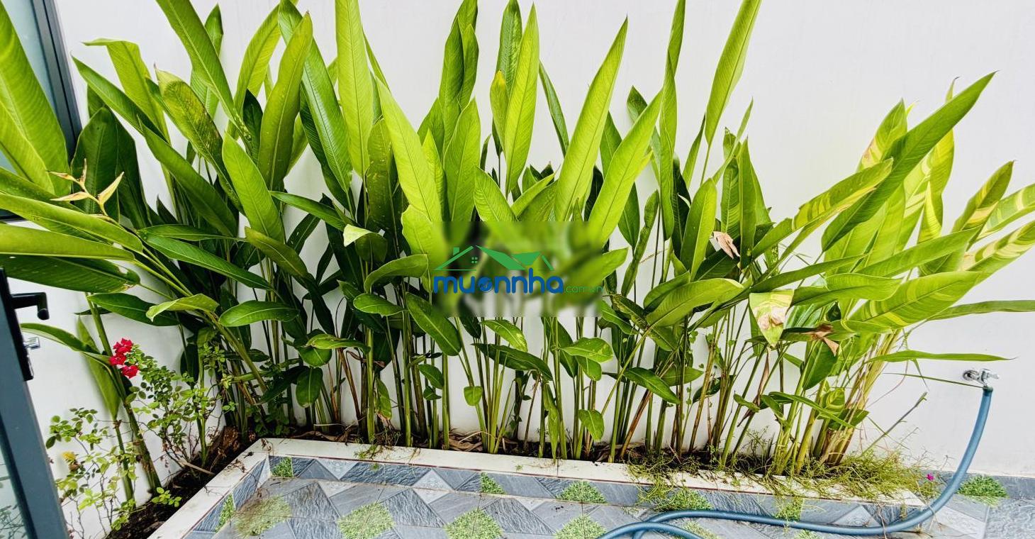 Kẹt tiền bán gấp! nhà hóc môn shr 7,2x16m gần chợ thới tứ
