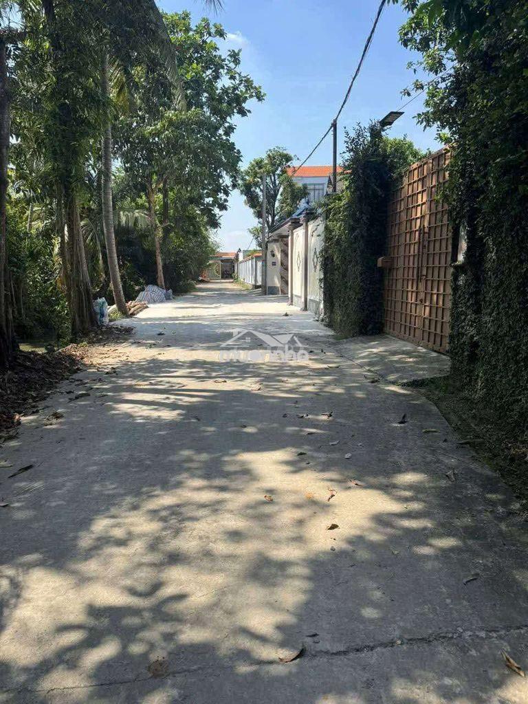 Nhà 175m giá rẻ chỉ 4ty250 ,lái thiêu ,tphcm - 3