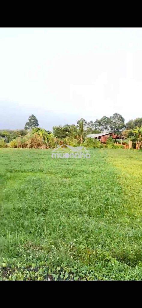 Đất vườn nằm trong khu dân cư - 3