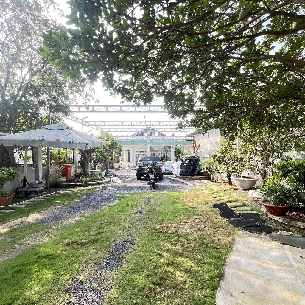 🏡Bán nhà vườn🏡 mặt tiền nhựa an thạnh thuận an bình dương - 2