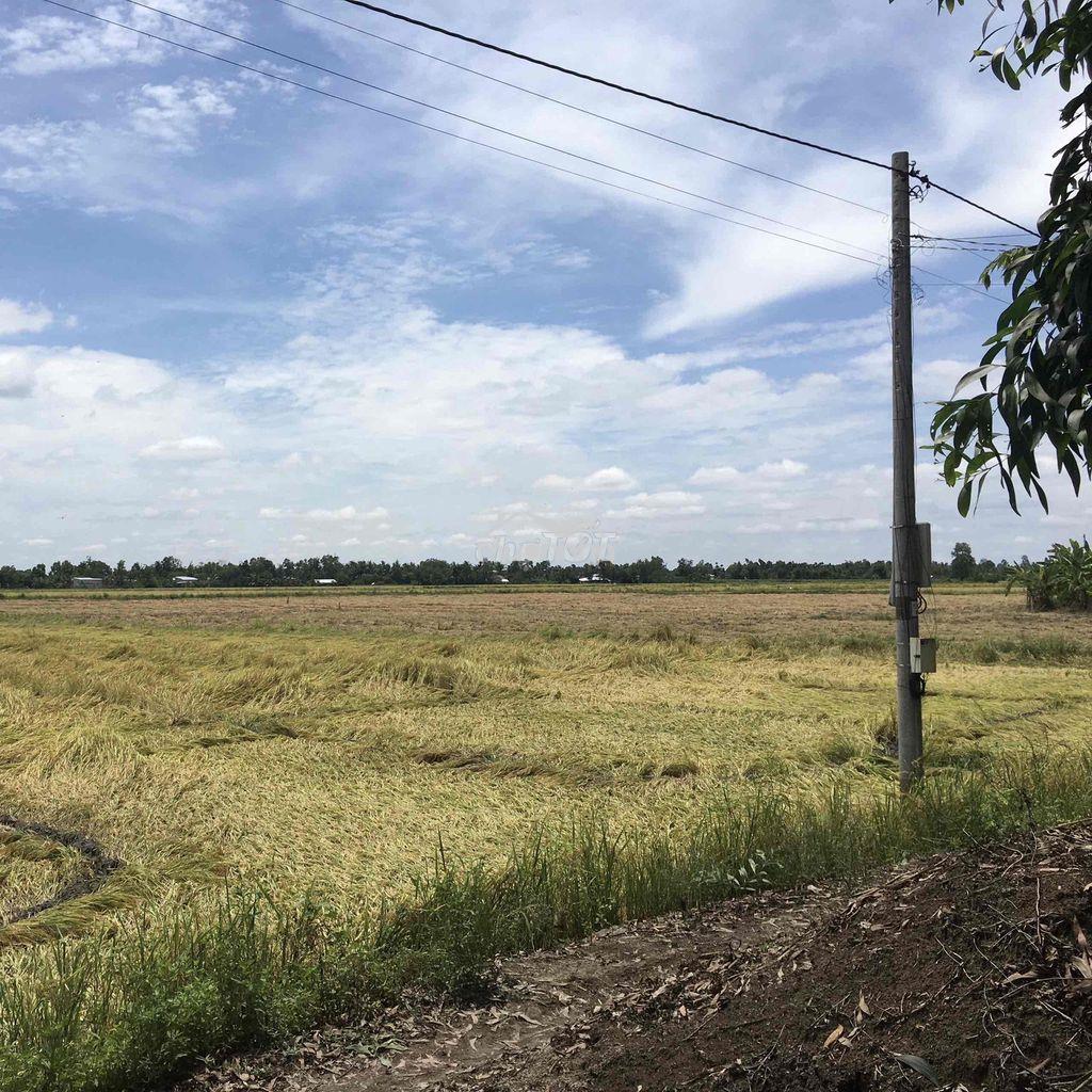 Đất đẹp chính chủ - giá tốt cho nhà đầu tư - 2