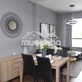 Cho thuê căn hộ view pháo hoa  khu đô thị nhật  - mizuki giá 11 tr - 2