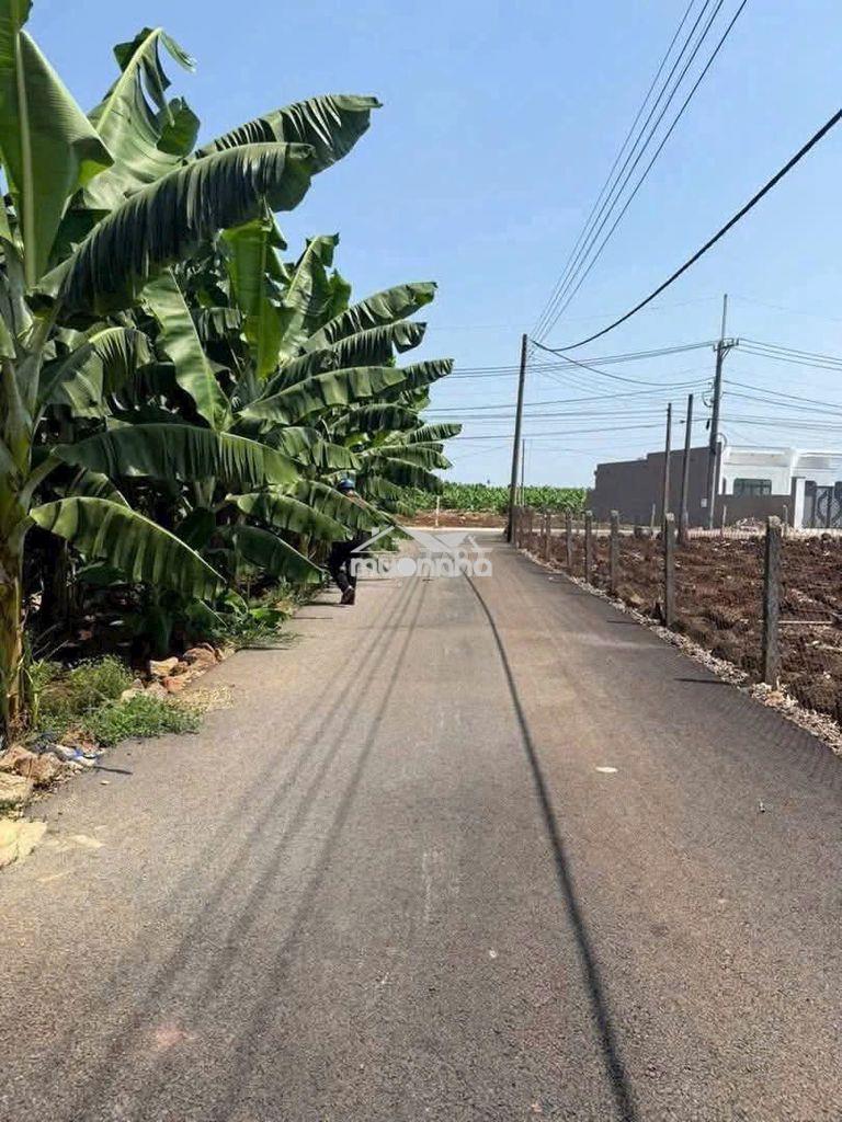 Đất đẹp ở bàu hàm, mặt đường nhựa